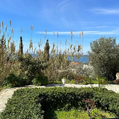 Alexandra's Sunset View Apartment