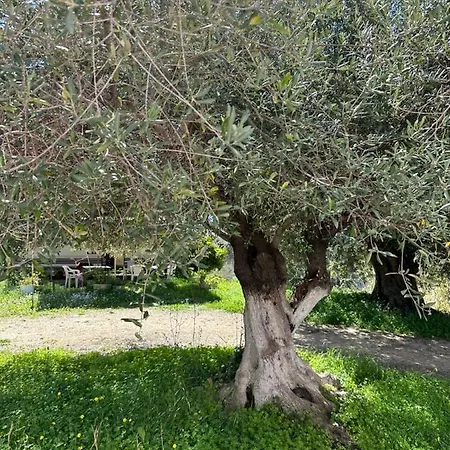 Alexandra's Sunset View Apartmán *