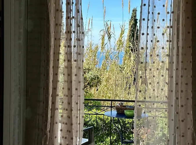 Alexandra's Sunset View