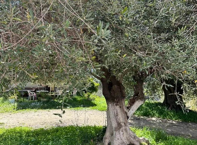 Alexandra's Sunset View Lägenhet *