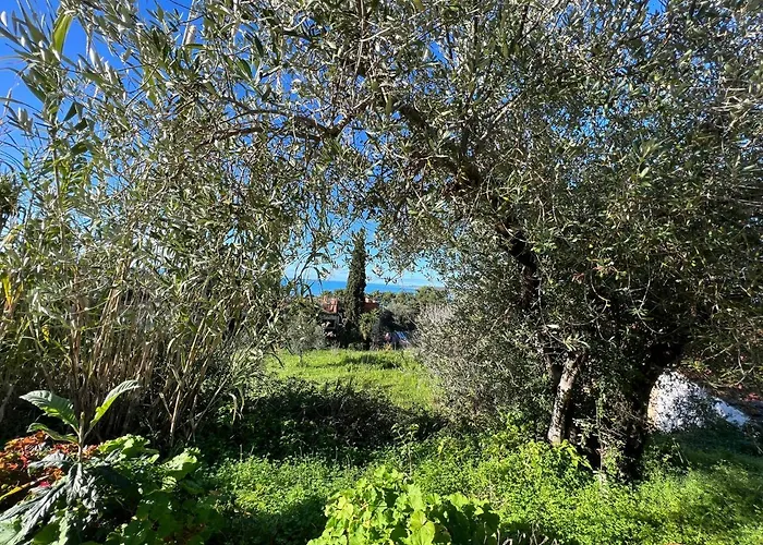Alexandra's Sunset View * Argostoli (Kefalonia)